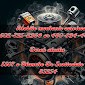 mobile mechanic sedrvices