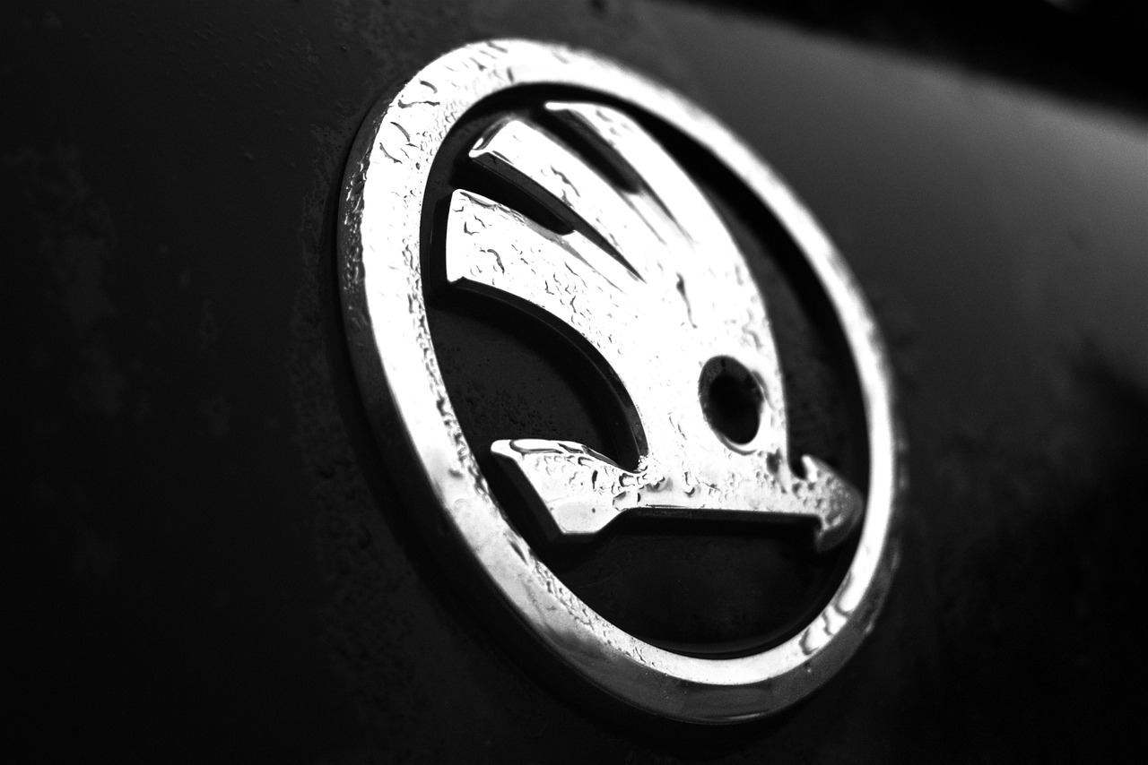 check Skoda